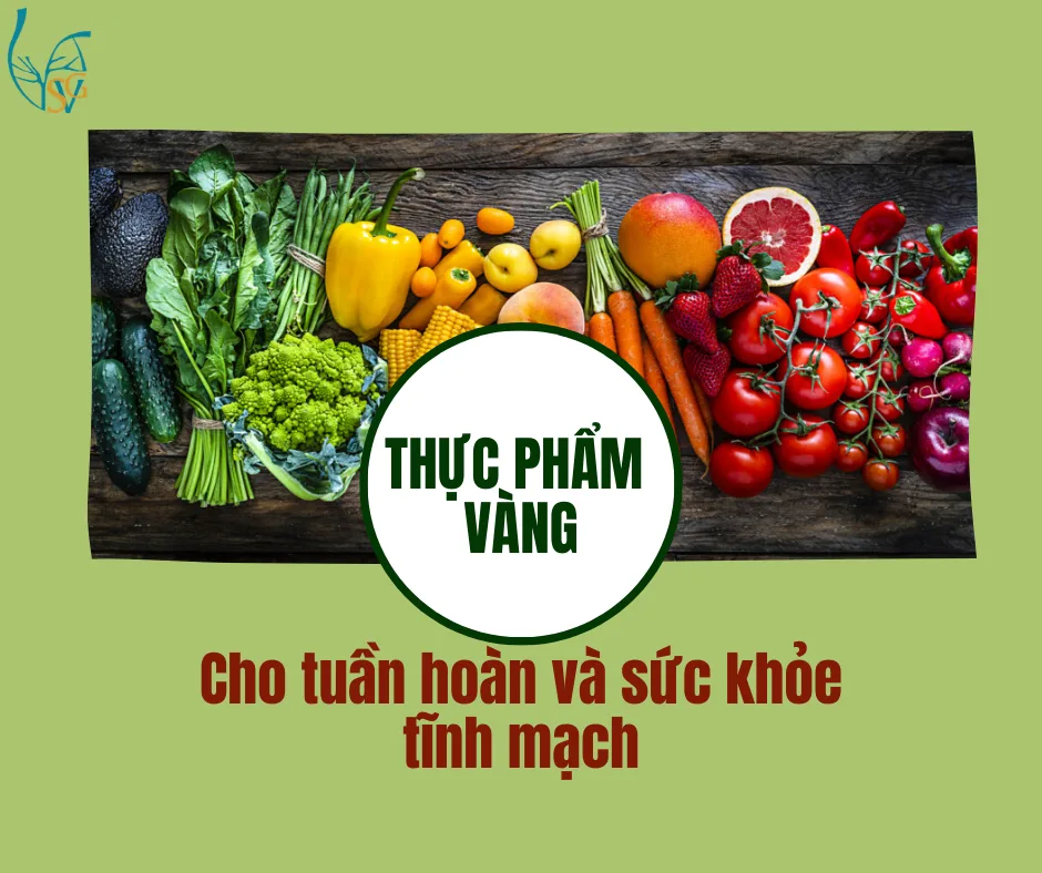 Các loại thực phẩm nào tốt cho tuần hoàn và tĩnh mạch?